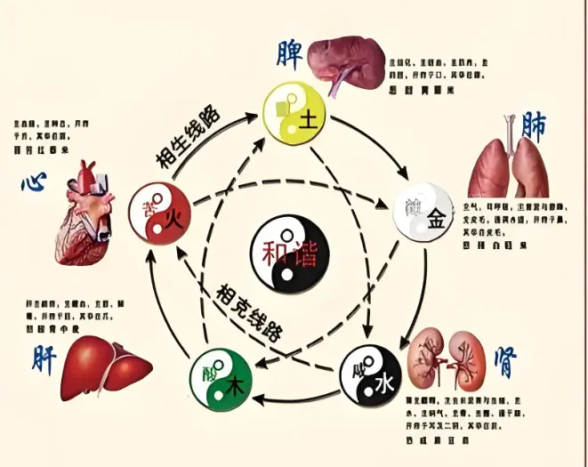 何为情志相克？中医养生巧用五行相克，让情绪成为健康良药