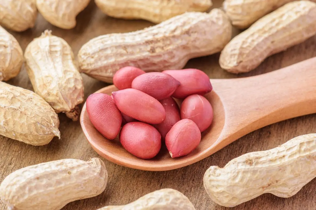 日本7万人15年跟踪研究：吃花生的人中风风险降低20%