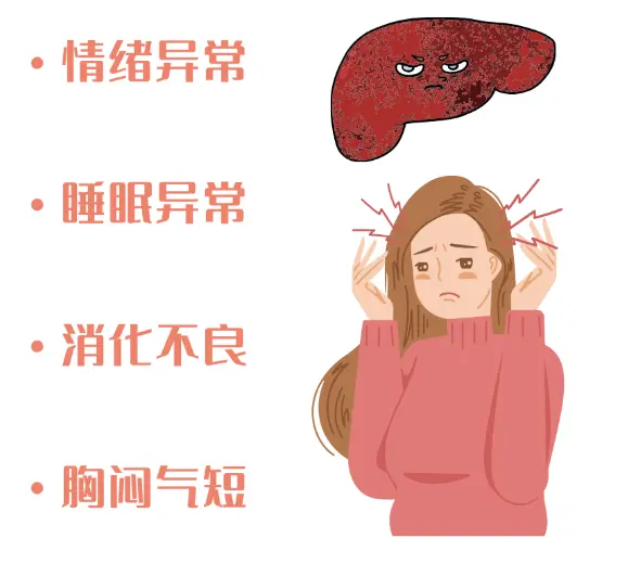 肝郁气结：你的情绪真的会影响肝脏吗？从识别到调理的实用方案