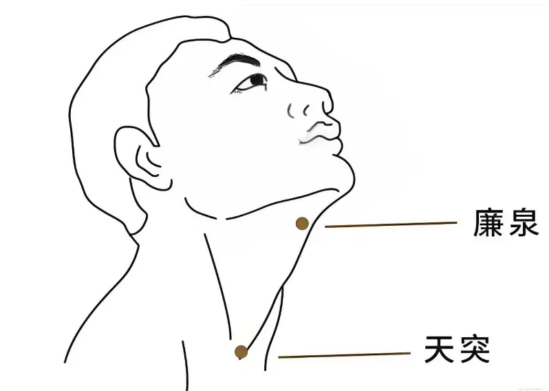 天突穴和廉泉穴