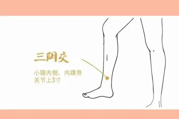 常见妇科病怎么调理？常按这五个穴位帮你缓解不适