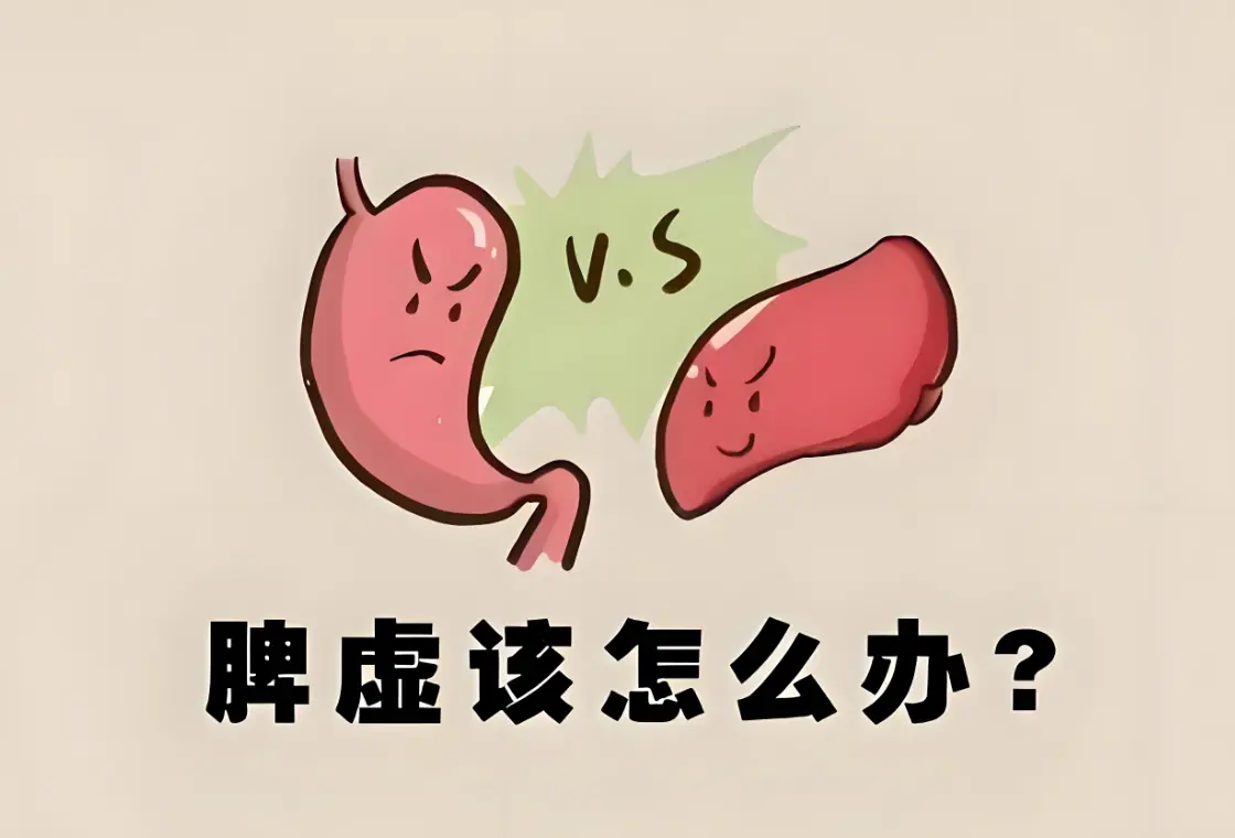 中医如何调理脾虚？中医调理脾胃指南