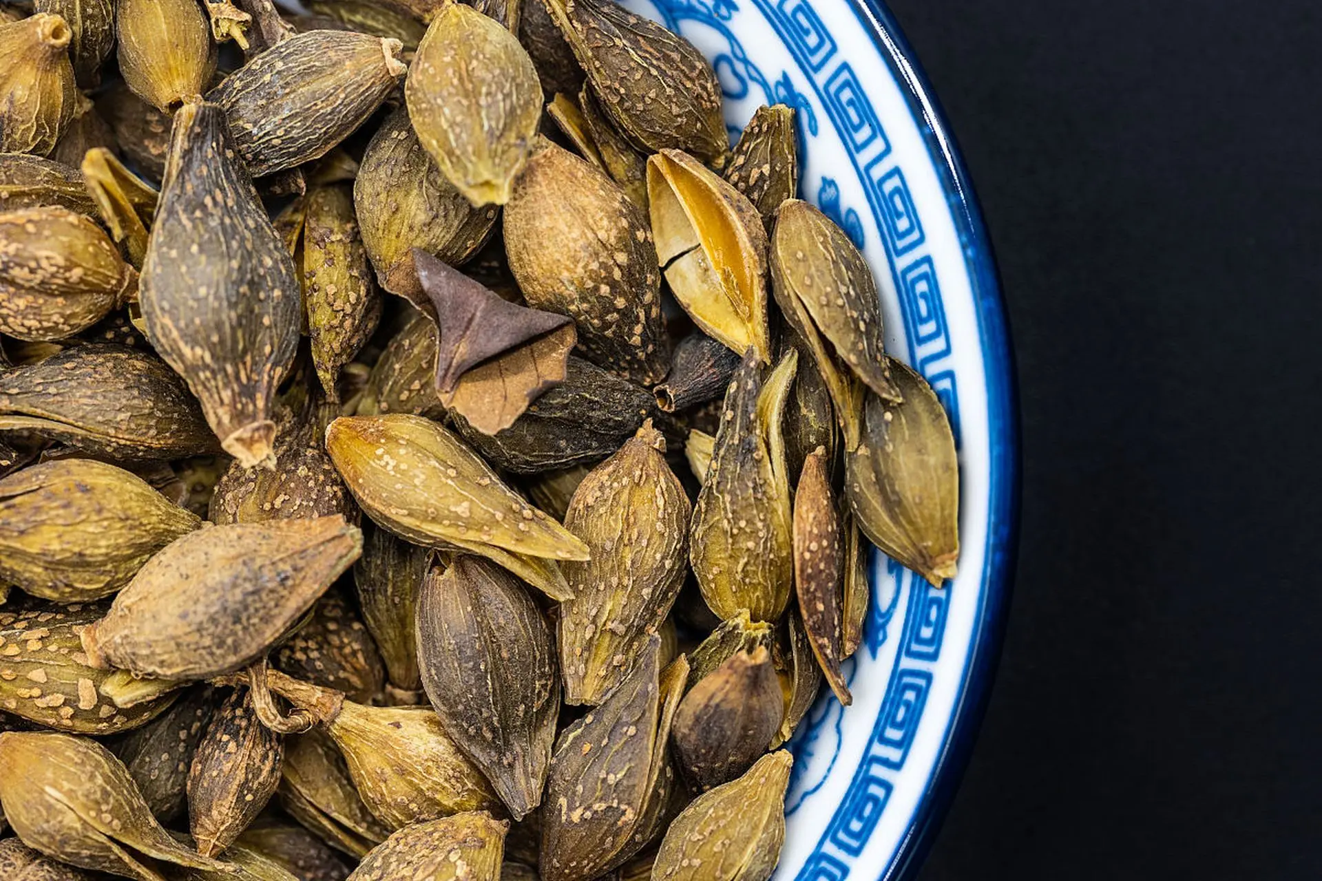 什么是连翘？连翘的功效与搭配全解析