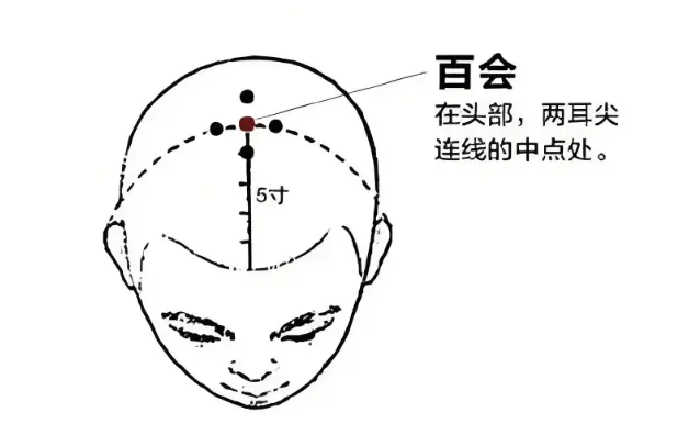百会穴
